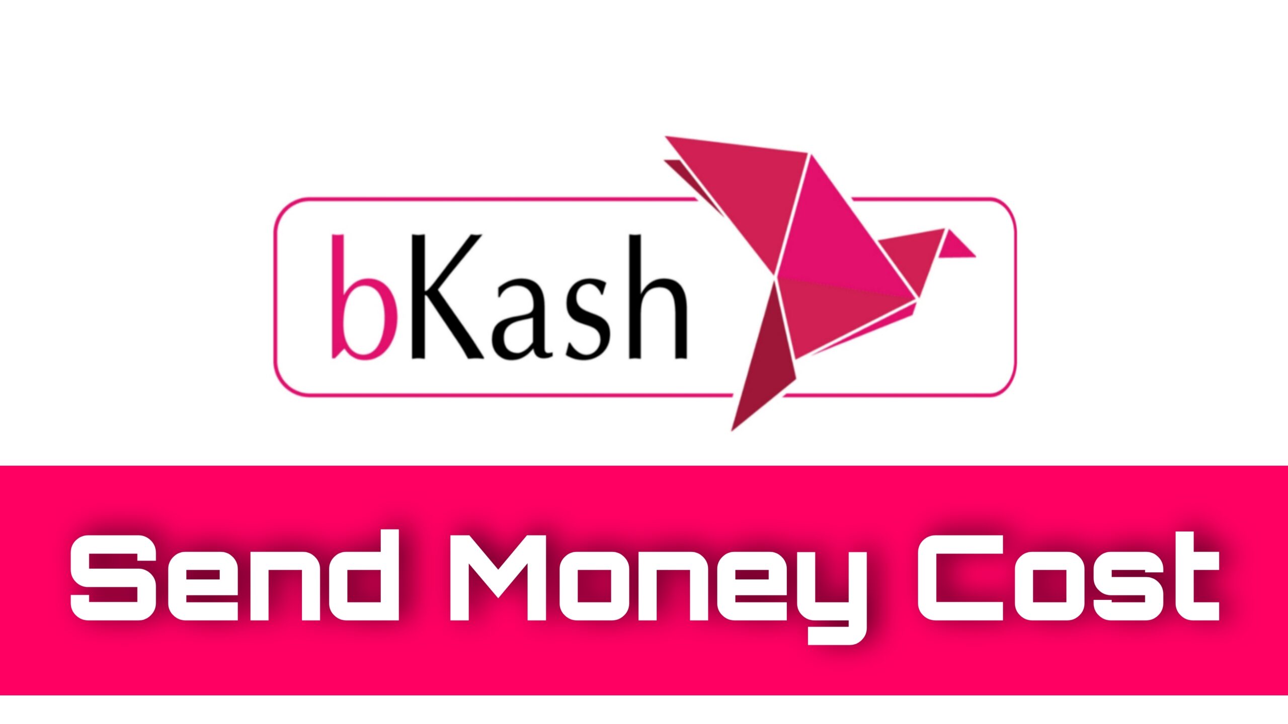 bkash send money cost