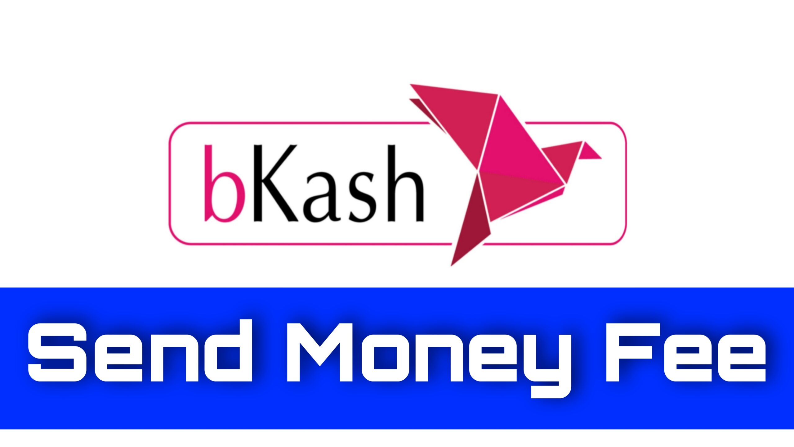 bkash send money fee